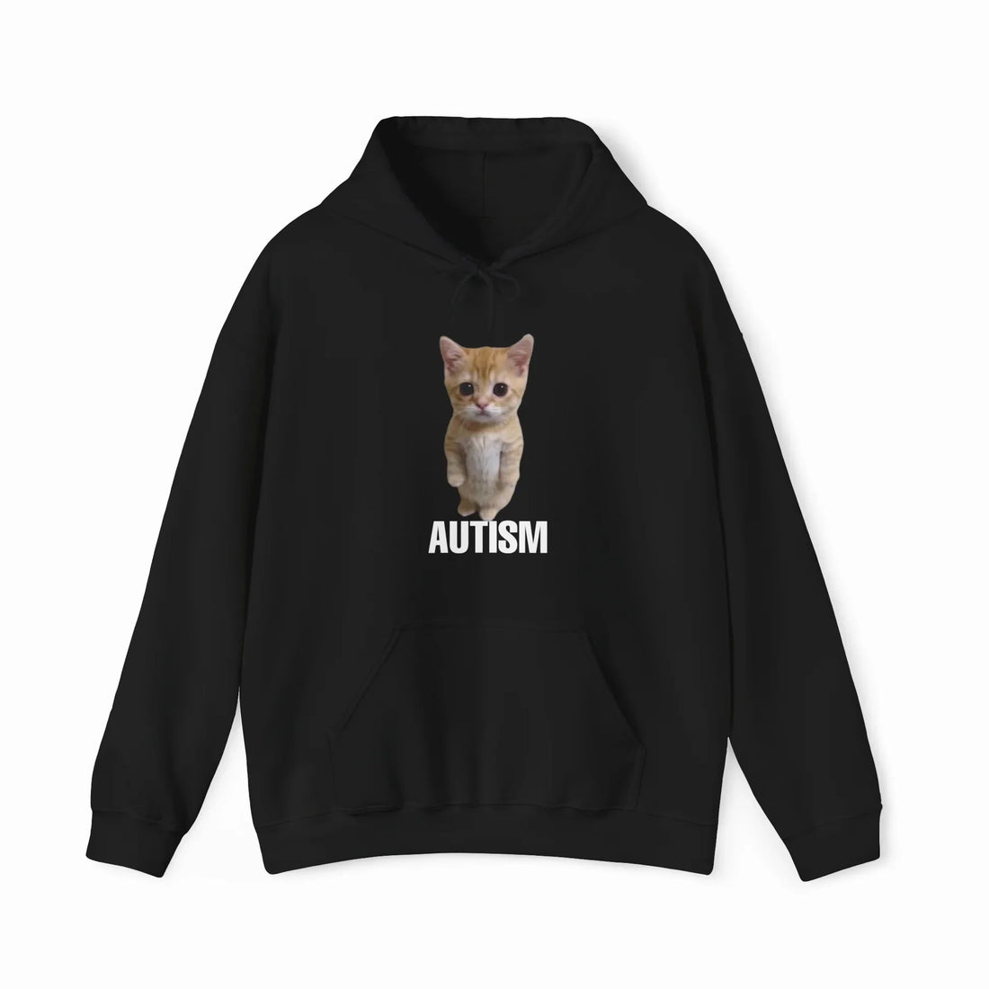 Autism Cat Hoodie