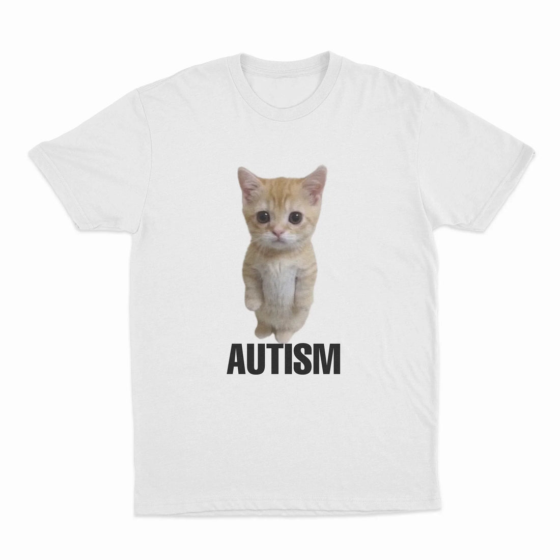 Autism Cat T-Shirt
